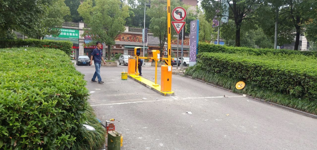 重庆车牌识别系统 重庆车牌识别系统