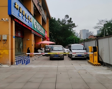 重庆枫丹树语城小区智能云停车管理系统