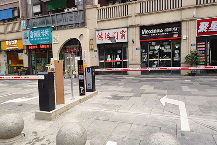 重庆车牌识别系统