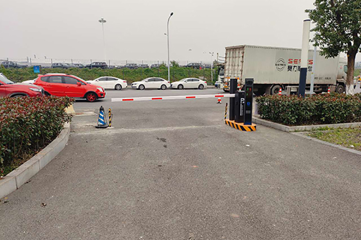 青凤湿地公园 (1)