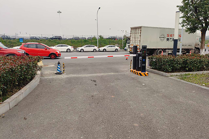 青凤湿地公园