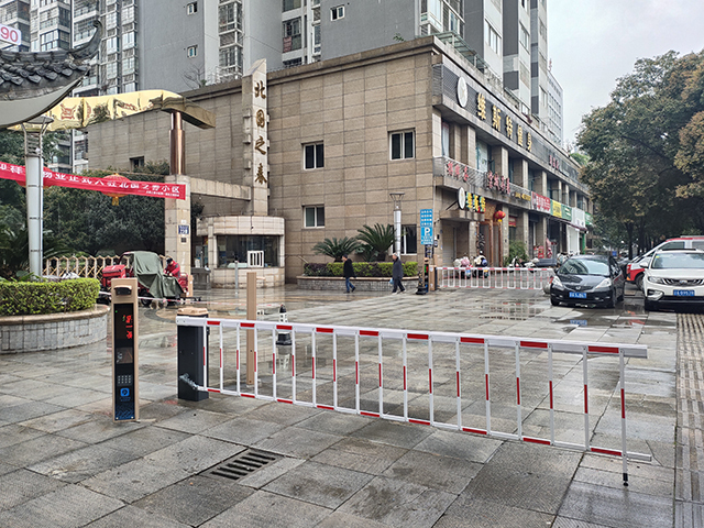荣昌北国之春 (1)