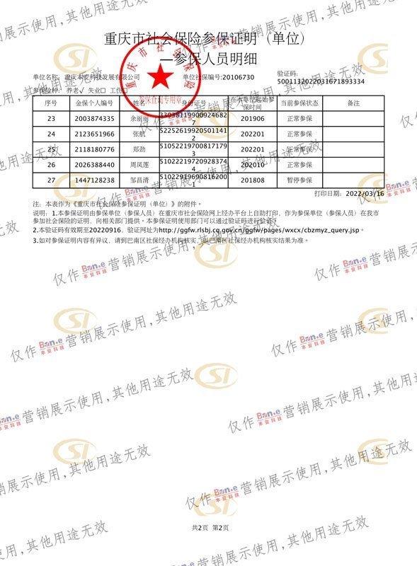 社保缴纳明细-2