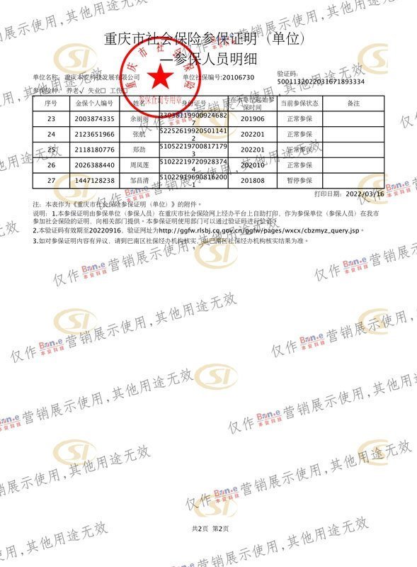 社保缴纳明细-2